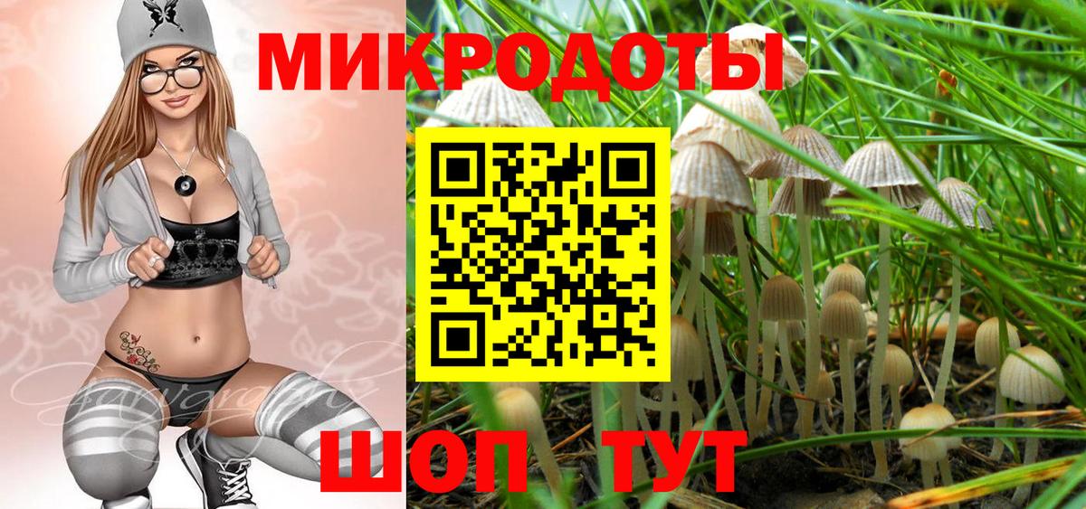Галлюциногенные грибы мухоморы Томск