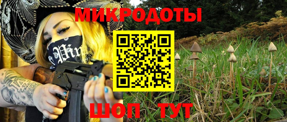 Томск  Галлюциногенные грибы Psilocybe  Вход с VPN 